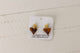 Weaving Color earrings heart shaped tortoiseshell design with gold shell detail on white card